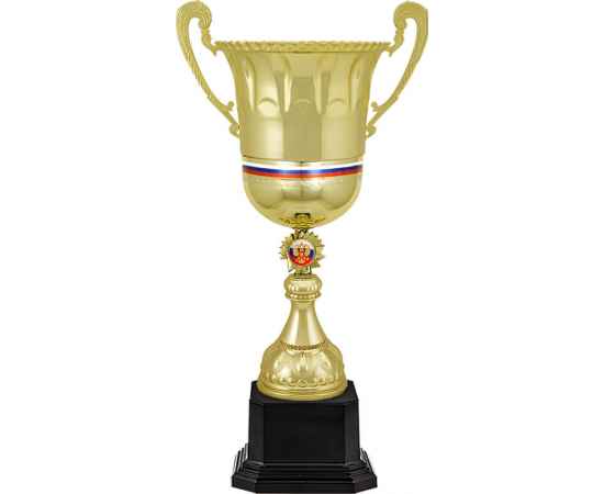 5995-000 Кубок Радимир, золото, изображение 2