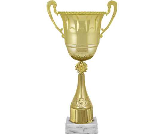 5996-000 Кубок Ойла 1,2,3 место, золото, Цвет: Золото, изображение 2