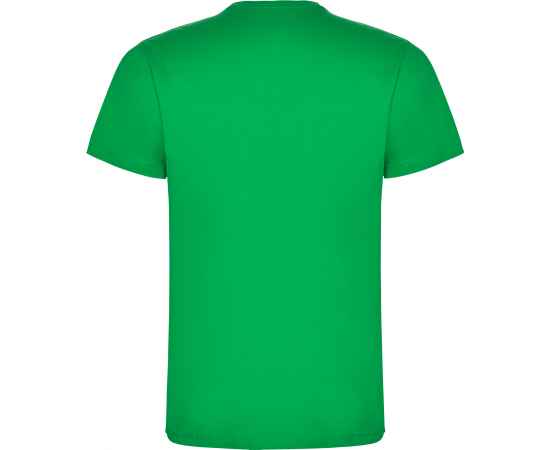 Футболка DOGO PREMIUM мужская, ИРЛАНДСКИЙ ЗЕЛЕНЫЙ 3XL, Цвет: Ирландский зеленый, изображение 2