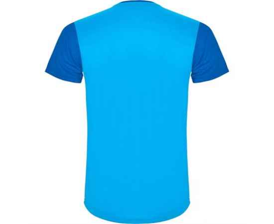 Спортивная футболка DETROIT мужская, КОРОЛЕВСКИЙ СИНИЙ S, Цвет: королевский синий, изображение 2