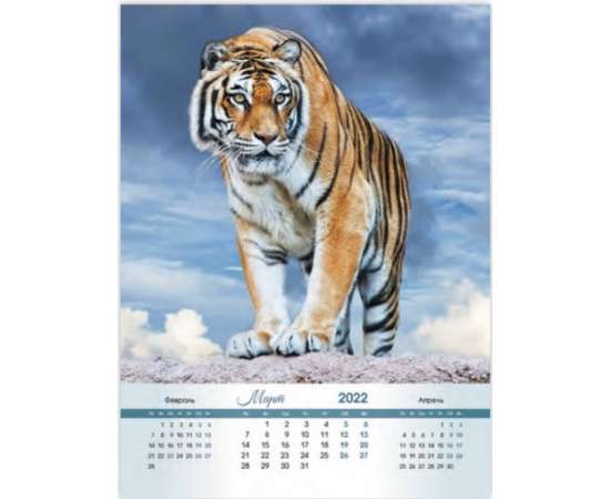 Тигры, изображение 3