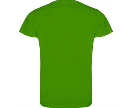 Спортивная футболка CAMIMERA мужская, ПАПАРОТНИКОВЫЙ S, Цвет: папаротниковый, изображение 2