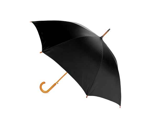 Зонт-трость Arwood, черный, Цвет: черный, изображение 2