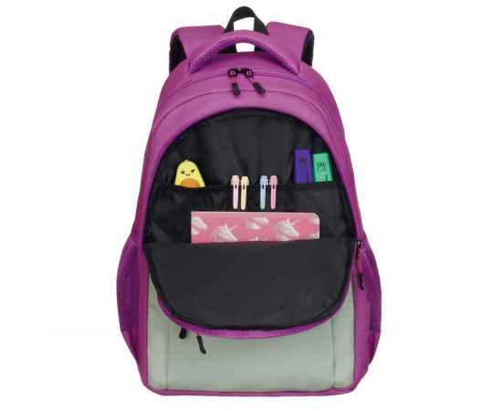 Рюкзак TORBER CLASS X, розовый/салатовый, 45 x 30 x 18 см + Мешок для сменной обуви в подарок!, изображение 6