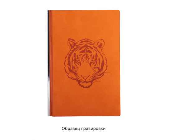 Ежедневник недатированный 'Аскона', формат А5, гибкая обложка, оранжевый, Цвет: оранжевый, изображение 3