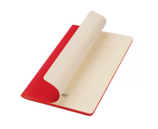 Подарочный набор Medium, красный (шоппер, блокнот, ручка, термобутылка), Цвет: красный, Размер: 360x400x10, изображение 2