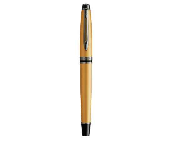 Перьевая ручка WatermanExpert GoldF BLK в подарочной упаковке, изображение 3