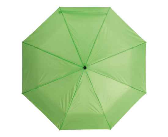 Автоматический ветроустойчивый складной зонт BORA, Светло-зелёный, изображение 2