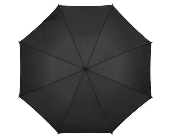 Автоматический зонт-трость LIPSI, Чёрный, изображение 2