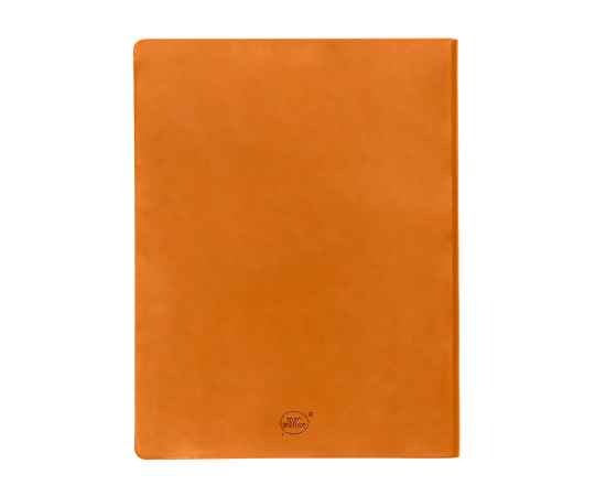 Бизнес-блокнот 'Biggy', B5 формат, оранжевый, серый форзац, мягкая обложка, в клетку, Цвет: оранжевый, изображение 3