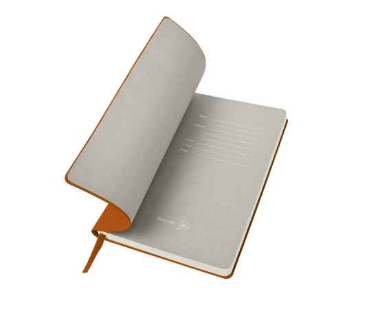 Бизнес-блокнот 'Biggy', B5 формат, оранжевый, серый форзац, мягкая обложка, в клетку, Цвет: оранжевый, изображение 4