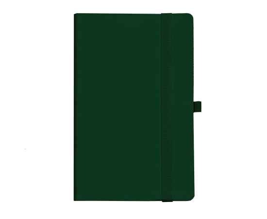 Бизнес-блокнот 'Gracy', 130х210 мм, зеленый, кремовая бумага, гибкая обложка, в линейку, на резинке, Цвет: зеленый, Размер: 130х210 мм, изображение 2