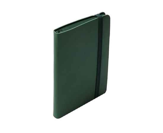Блокнот SHADY JUNIOR с элементами планирования,  А6, зеленый, кремовый блок, темно-зеленый обрез, Цвет: зеленый, изображение 7