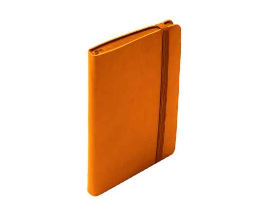 Блокнот SHADY JUNIOR с элементами планирования,  А6, оранжевый, кремовый блок, оранжевый  обрез, Цвет: оранжевый, изображение 7