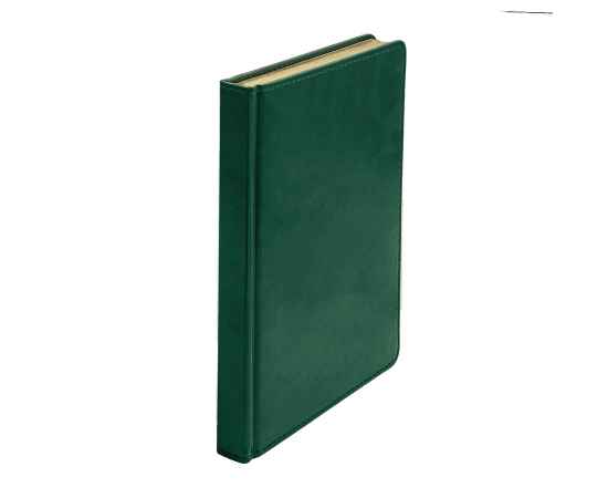 Ежедневник недатированный Joy, А5,  темно-зеленый, белый блок, золотой обрез, изображение 8