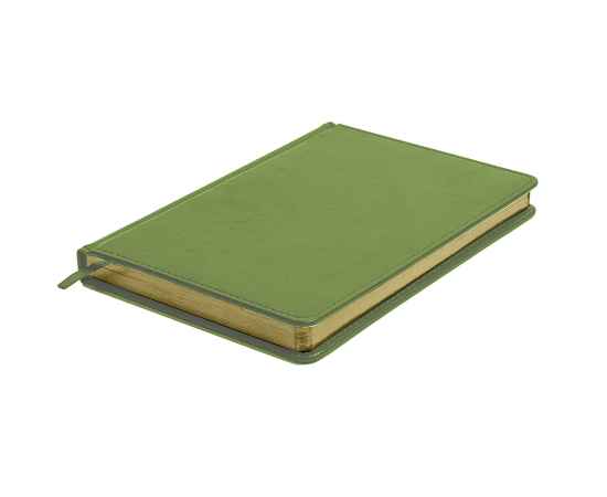 Ежедневник недатированный Joy, А5,  зеленое яблоко, белый блок, золотой обрез, изображение 4