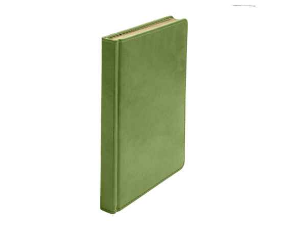 Ежедневник недатированный Joy, А5,  зеленое яблоко, белый блок, золотой обрез, изображение 8