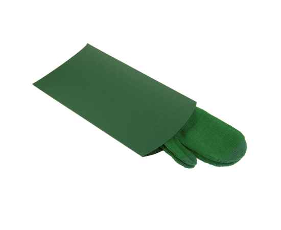 Коробка подарочная PACK, 23*16*4 см, зеленый, Цвет: зеленый, изображение 2