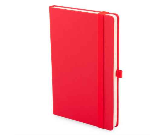 Подарочный набор JOY: блокнот, ручка, кружка, коробка, стружка, красный, Цвет: красный, Размер: 25,5 x 21,5 x 11 см., изображение 2
