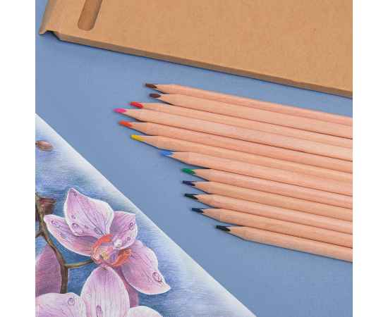 Набор цветных карандашей KINDERLINE middlel,12 цветов, дерево, картон, изображение 6