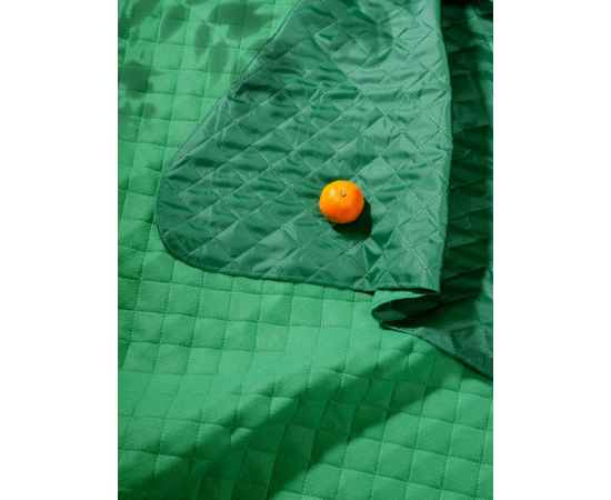 Плед для пикника Soft & Dry, зеленый, Цвет: зеленый, Размер: в разложенном виде: 115х140 см, изображение 6