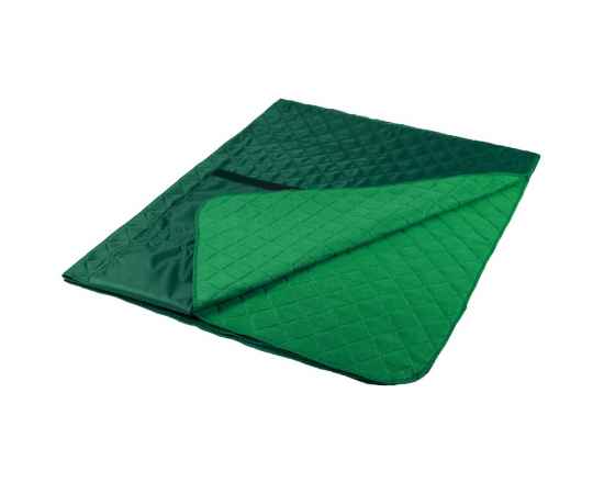Плед для пикника Comfy, зеленый, Цвет: зеленый, Размер: плед: 115х140 с, изображение 3