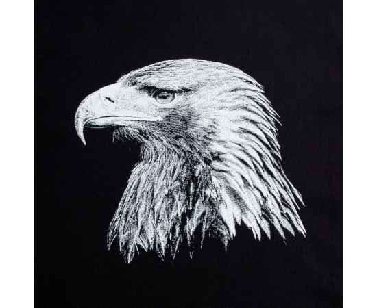 Холщовая сумка Like an Eagle, черная, Цвет: черный, Размер: 35х38х6 см, изображение 2