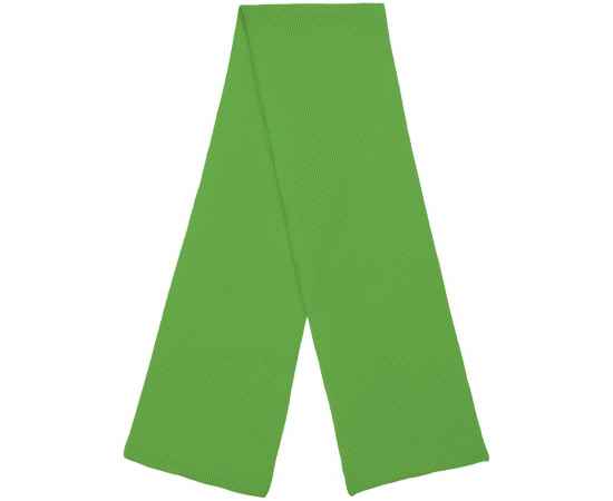Шарф Life Explorer, зеленый (салатовый), Цвет: зеленый, Размер: 25х180 см, изображение 3