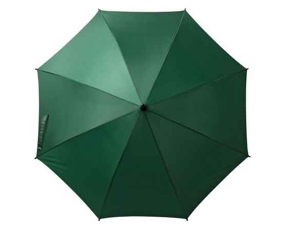 Зонт-трость Standard, зеленый, Цвет: зеленый, Размер: длина 90 см, изображение 2