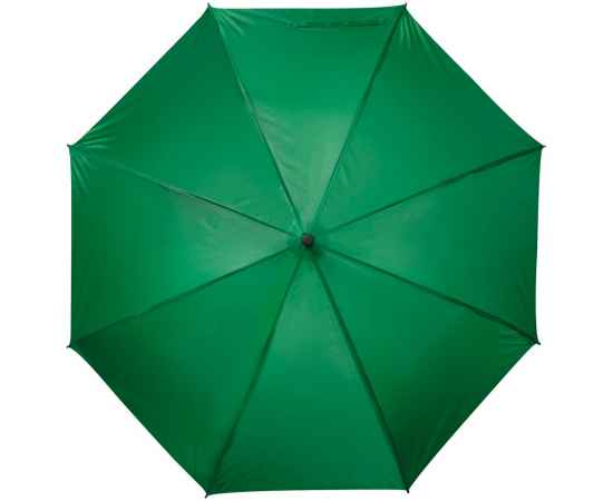 Зонт-трость Charme, зеленый, Цвет: зеленый, Размер: диаметр купола 101 см, изображение 2