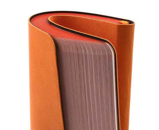 Ежедневник Neat Mini ver.1, недатированный, оранжевый G_15208.20, Цвет: оранжевый, Размер: 10, изображение 5
