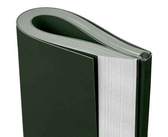 Ежедневник Flat Maxi, недатированный, зеленый G_17892.90, Цвет: зеленый, Размер: 19, изображение 6