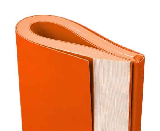 Ежедневник Flat, недатированный, оранжевый G_17893.20, Цвет: оранжевый, Размер: Тонированный, изображение 6