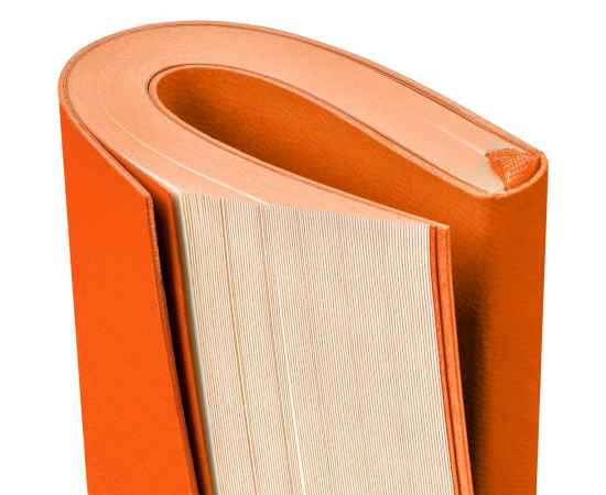 Ежедневник Flat Mini, недатированный, оранжевый G_17894.20, Цвет: оранжевый, Размер: 10x16x1 см, изображение 6