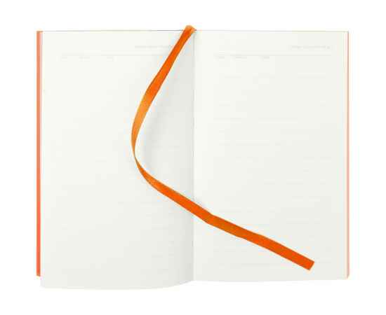 Ежедневник Flat Mini, недатированный, оранжевый G_17894.20, Цвет: оранжевый, Размер: 10x16x1 см, изображение 5