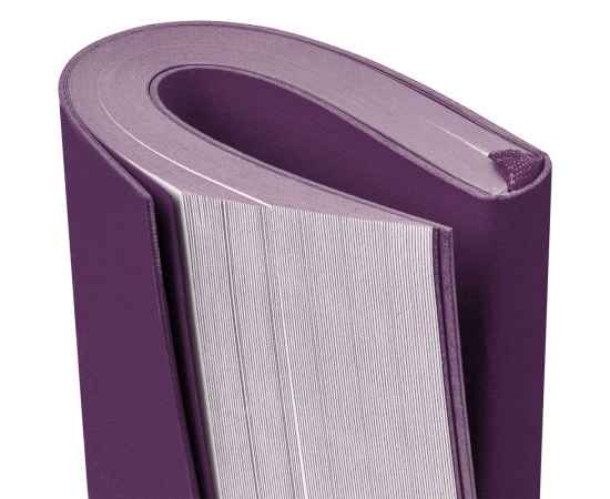 Ежедневник Flat Mini, недатированный, фиолетовый G_17894.70, Цвет: фиолетовый, Размер: 10x16x1 см, изображение 6