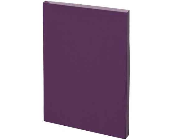 Ежедневник Flat Mini, недатированный, фиолетовый G_17894.70, Цвет: фиолетовый, Размер: 10x16x1 см, изображение 2