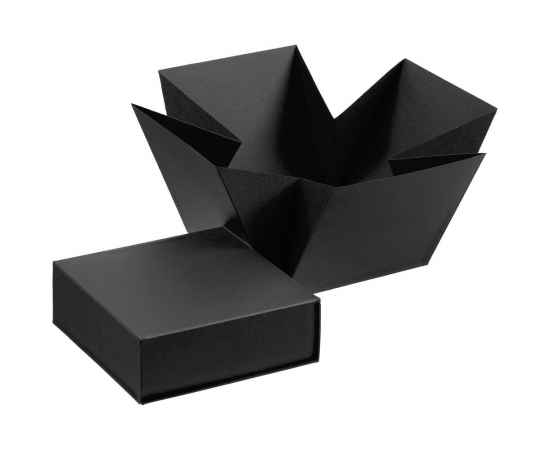 Коробка Anima, черная, Цвет: черный, Размер: 11, изображение 2