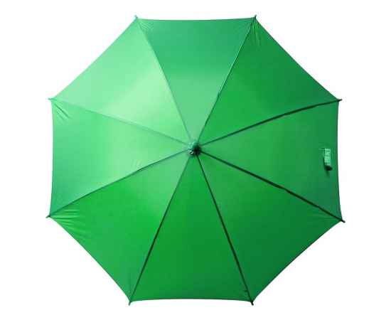 Зонт-трость Promo, зеленый, Цвет: зеленый, изображение 2