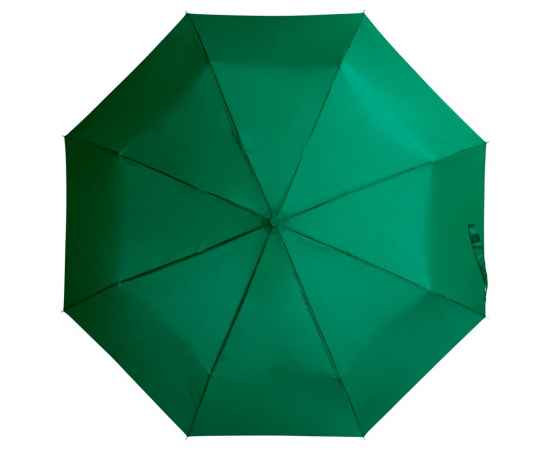 Зонт складной Basic, зеленый, Цвет: зеленый, изображение 2