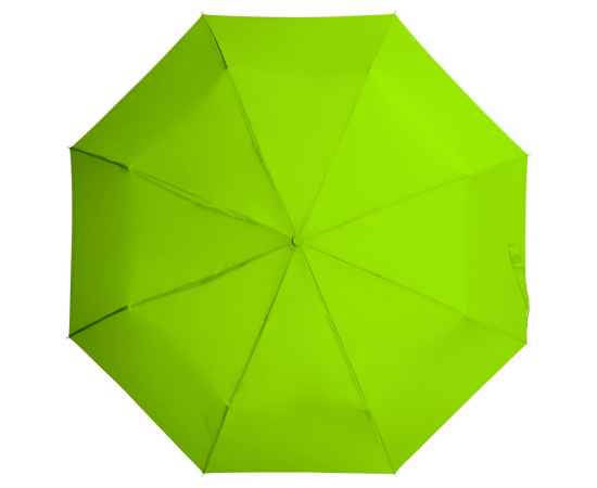 Зонт складной Basic, зеленое яблоко, Цвет: зеленый, зеленое яблоко, изображение 2