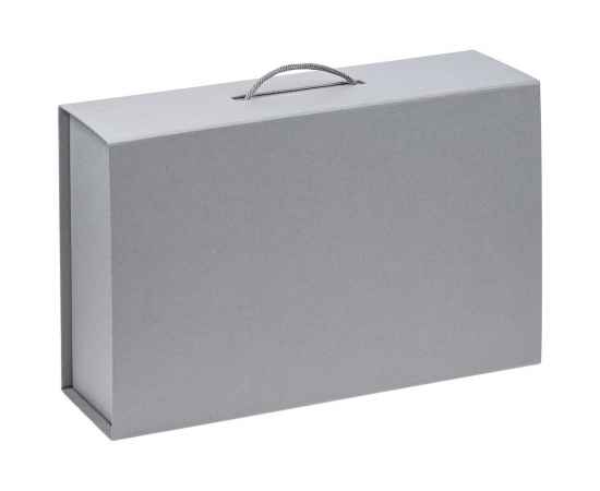 Коробка Big Case, серая, Цвет: серый, изображение 2