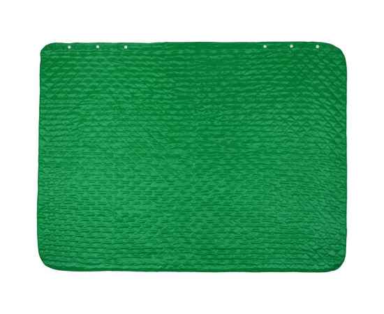 Плед-пончо для пикника SnapCoat, зеленый, Цвет: зеленый, изображение 2