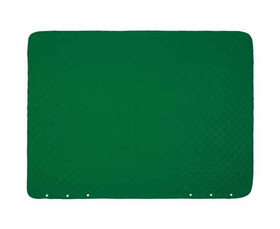 Плед-пончо для пикника SnapCoat, зеленый, Цвет: зеленый, изображение 3