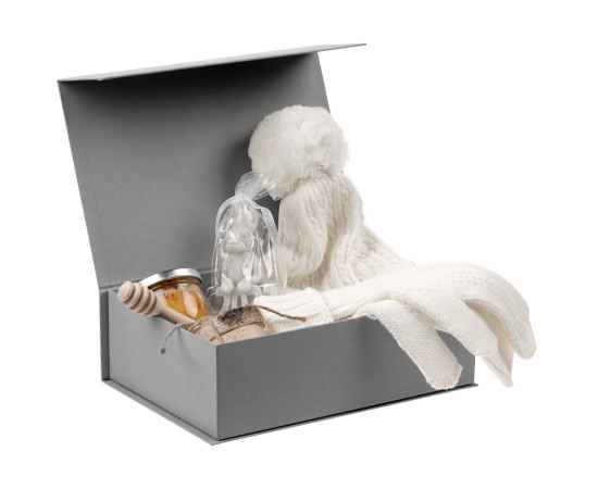 Коробка Frosto, S, серая, Цвет: серый, изображение 3