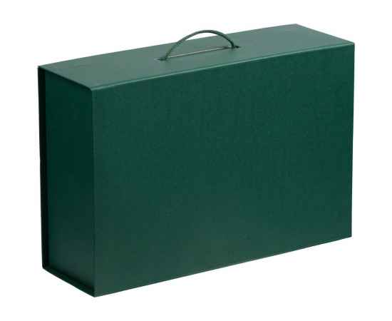 Коробка Big Case, зеленая, Цвет: зеленый, изображение 2