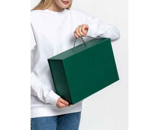 Коробка Big Case, зеленая, Цвет: зеленый, изображение 5