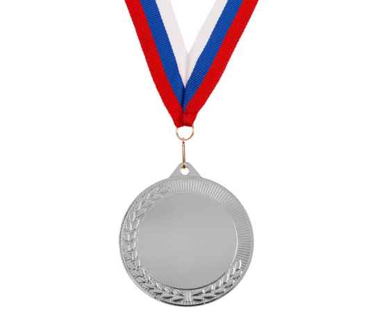 Медаль Regalia, большая, серебристая, Цвет: серебристый, изображение 3