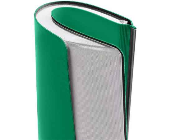 Ежедневник Aspect, недатированный, зеленый, Цвет: зеленый, изображение 6