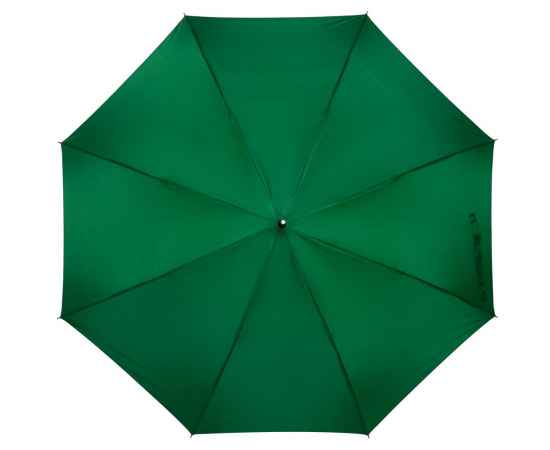 Зонт-трость Silverine, зеленый, Цвет: зеленый, изображение 2